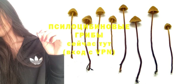 прущая мука Армянск
