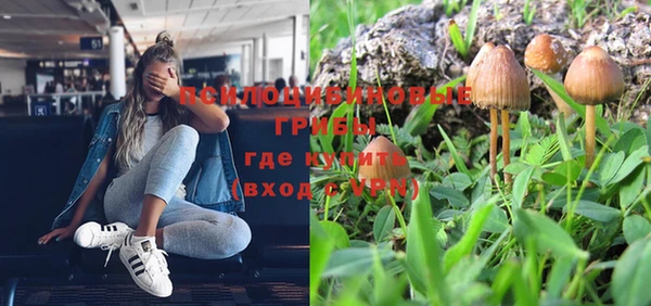 не бодяженный Арсеньев