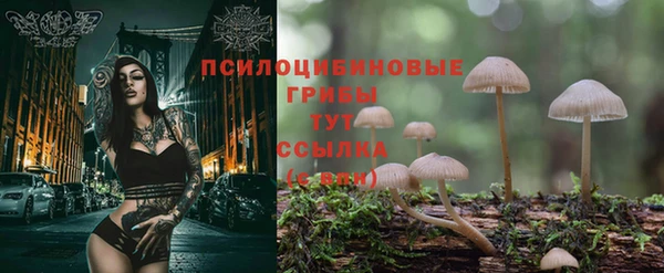 не бодяженный Арсеньев